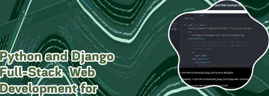 Django full stack developer