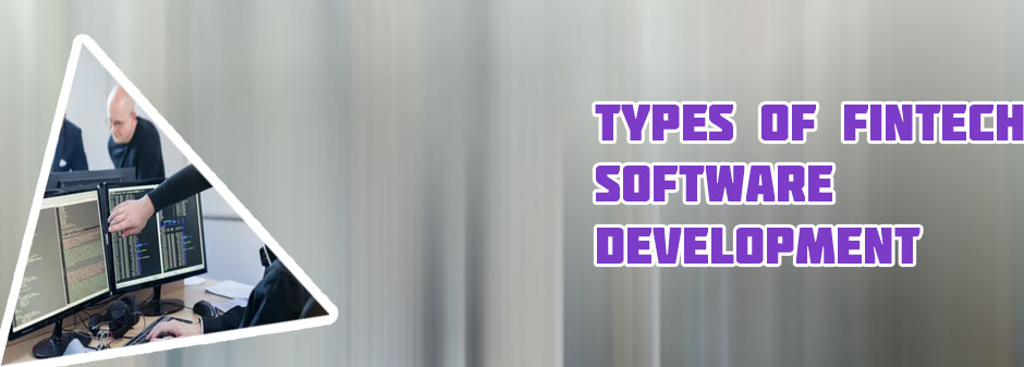 Financial software development services