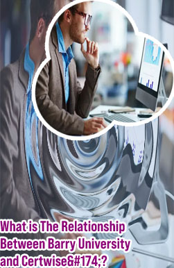 It management professional