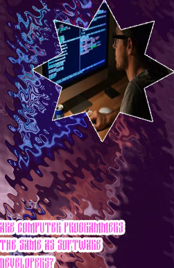 Software application programmer