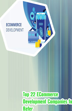Top ecommerce developers