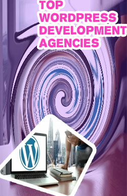 Top wordpress development companies