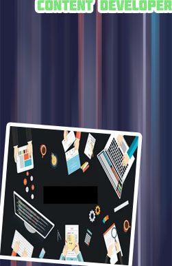 Web content developer